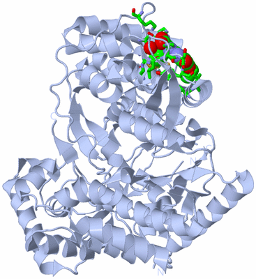 Image Biol. Unit 1 - sites