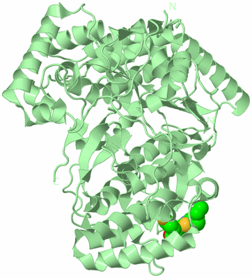 Image Biological Unit 2