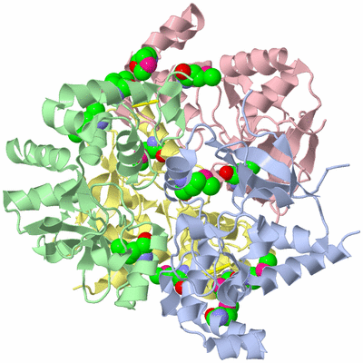 Image Biological Unit 1