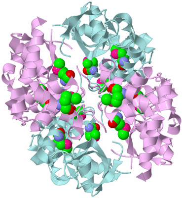 Image Biological Unit 2