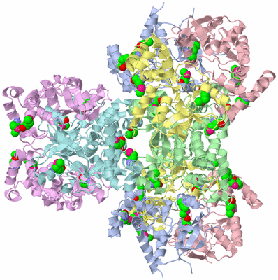 Image Biological Unit 3