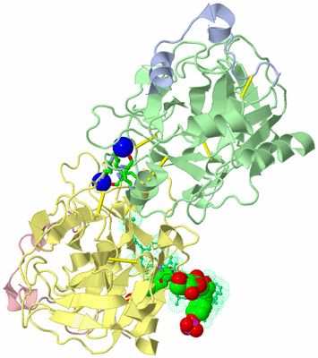 Image Asym./Biol. Unit - sites