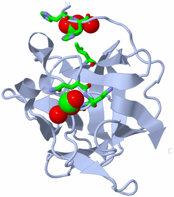 Image Biol. Unit 1 - sites