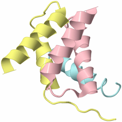 Image Biological Unit 2