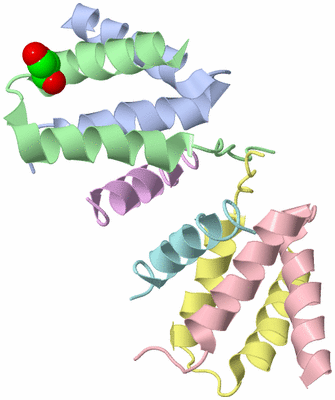 Image Biological Unit 3