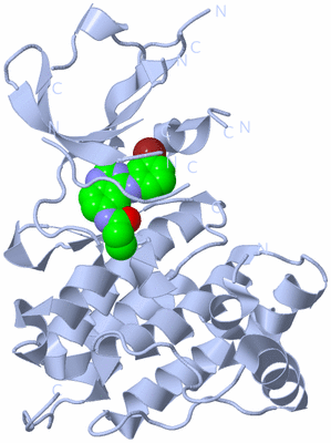 Image Biological Unit 1