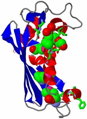 Image Asym. Unit - sites