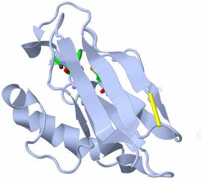 Image Biol. Unit 1 - sites