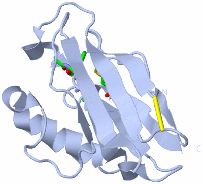 Image Biol. Unit 1 - sites