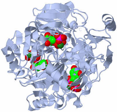 Image Biological Unit 1