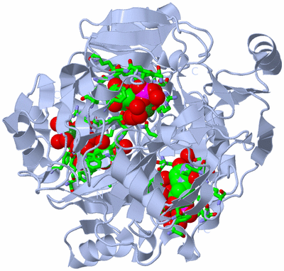 Image Biol. Unit 1 - sites