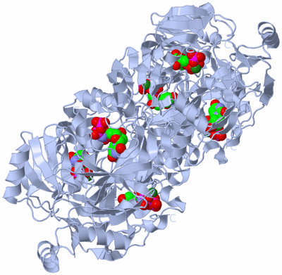 Image Biological Unit 2