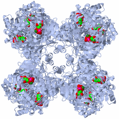 Image Biological Unit 3