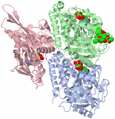 Image Asym./Biol. Unit