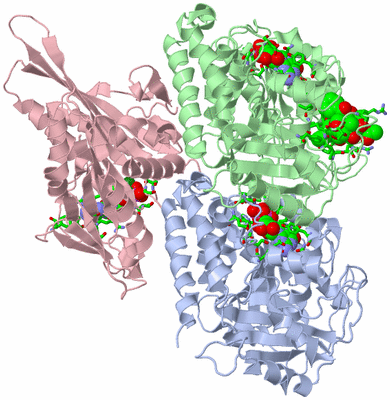 Image Asym./Biol. Unit - sites