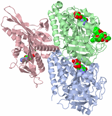 Image Asym./Biol. Unit