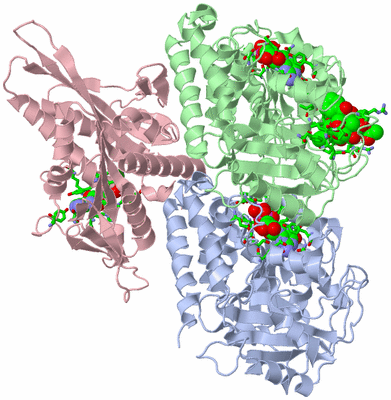 Image Asym./Biol. Unit - sites