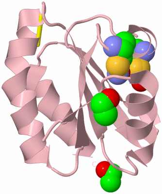 Image Biological Unit 3