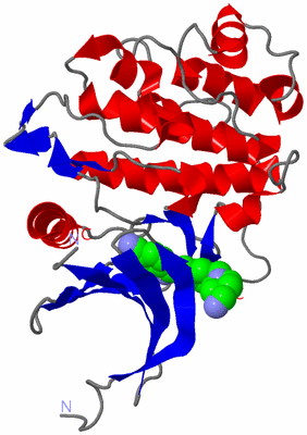 Image Asym./Biol. Unit