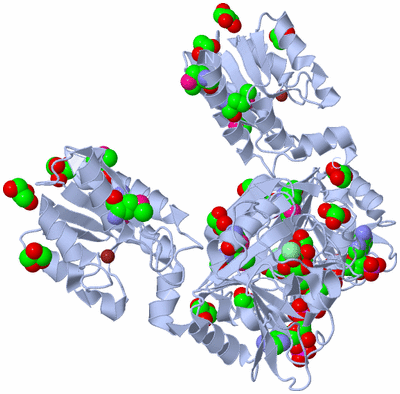 Image Biological Unit 1