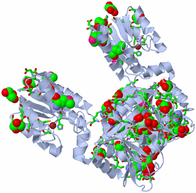 Image Biol. Unit 1 - sites