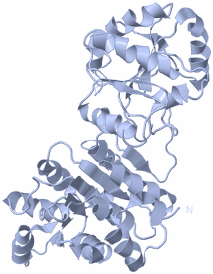 Image Biological Unit 1