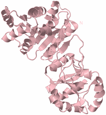 Image Biological Unit 3