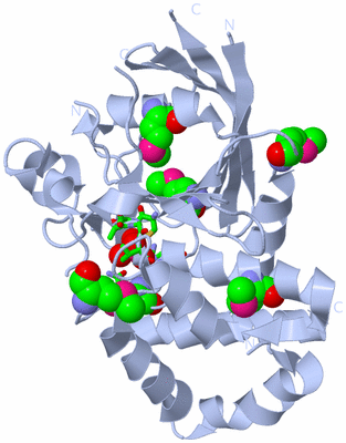 Image Biol. Unit 1 - sites