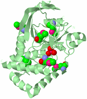 Image Biological Unit 2