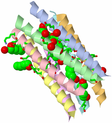 Image Asym./Biol. Unit - sites