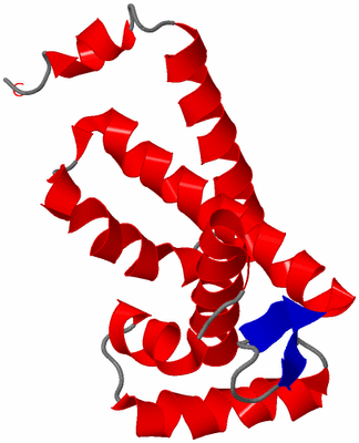 Image Asymmetric Unit