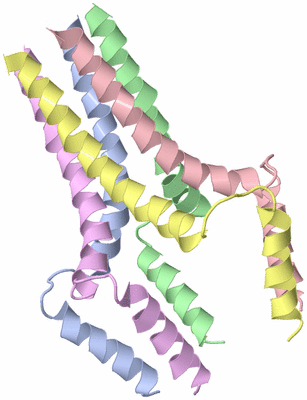 Image NMR Structure - model 1