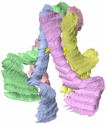 Image NMR Structure - all models