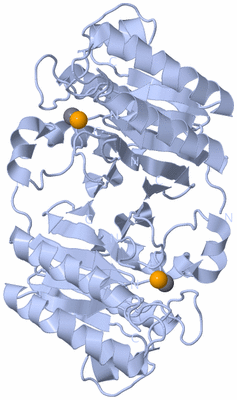 Image Biological Unit 1