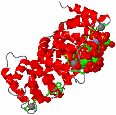 Image Asym./Biol. Unit - sites