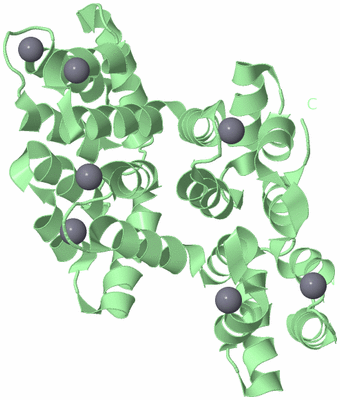 Image Biological Unit 2