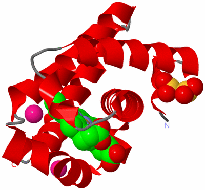 Image Asym./Biol. Unit