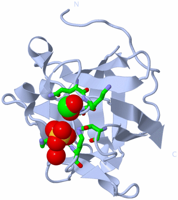 Image Biol. Unit 1 - sites