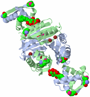 Image Biological Unit 1