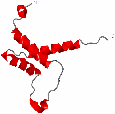 Image NMR Structure - model 1