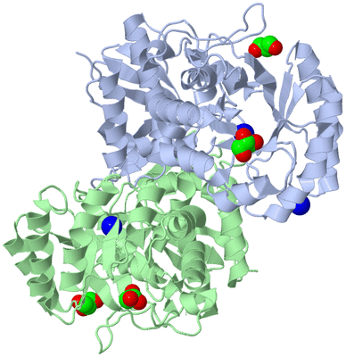 Image Asym./Biol. Unit