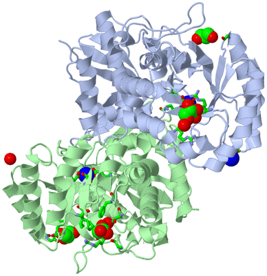 Image Asym./Biol. Unit - sites