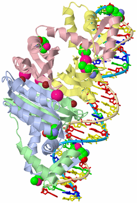 Image Biological Unit 1