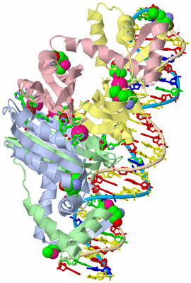 Image Biol. Unit 1 - sites