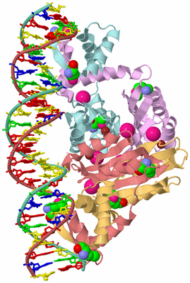 Image Biological Unit 2