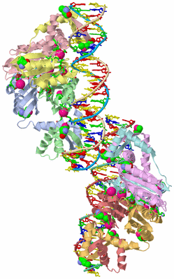 Image Asym. Unit - sites