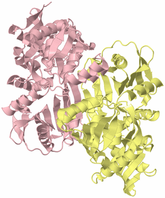 Image Biological Unit 2