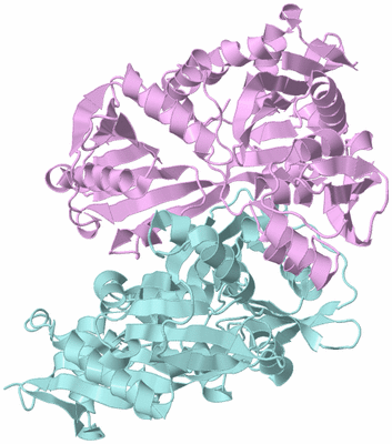 Image Biological Unit 3