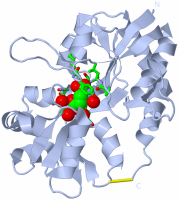 Image Biol. Unit 1 - sites