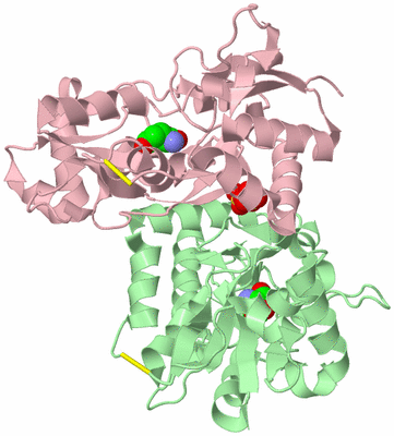 Image Biological Unit 2